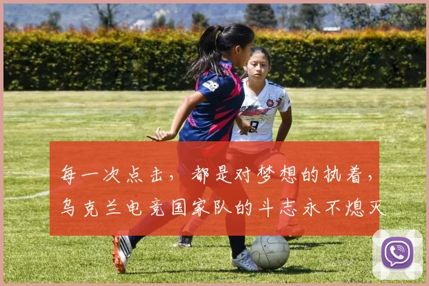 每一次点击，都是对梦想的执着，乌克兰电竞国家队的斗志永不熄灭
