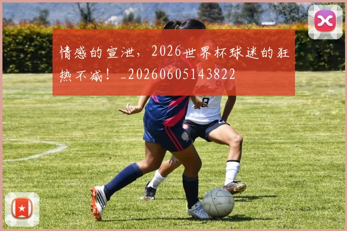 情感的宣泄，2026世界杯球迷的狂热不减！_20260605143822