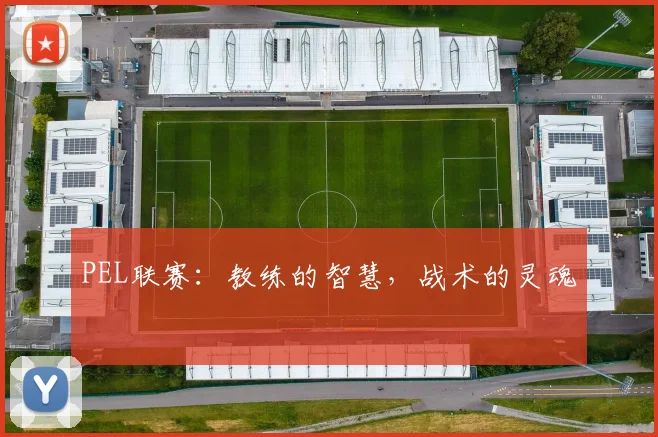 PEL联赛：教练的智慧，战术的灵魂